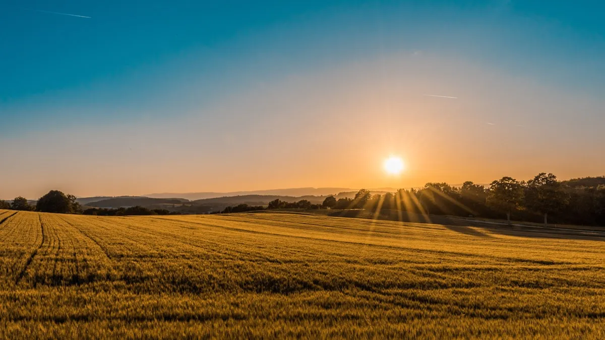 Campo bragadense, zona de cobertura rural (foto de referencia)